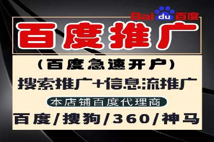 SEM优化策略：案例解读成功之道